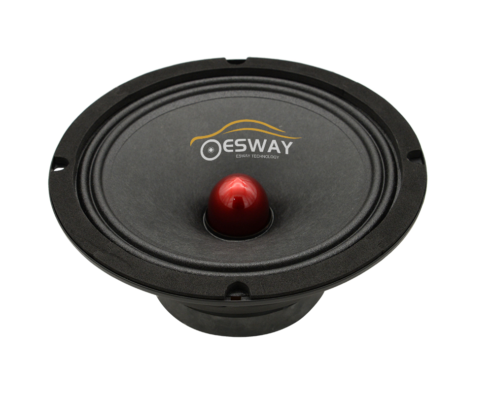Economic lound sound 6.5inch , 8inch sepaker 